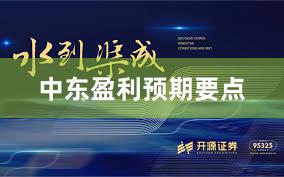 中东盈利预期要点