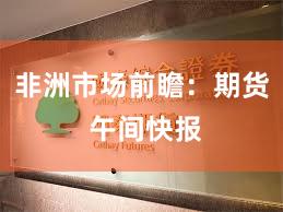 非洲市场前瞻：期货 午间快报