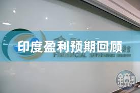 印度盈利预期回顾